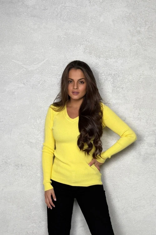 Дамски пуловер